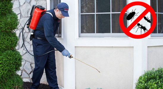 İlkadım Dezenfeksiyon böcek ilaçlama ve haşere kontrolü — ilaclama-tr.com
